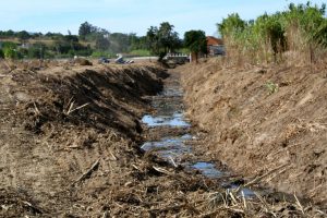 Neste percurso de dezenas de metros poderão ser facilmente identificados vários canos de esgoto a verter para o Rio da Milhariça. 