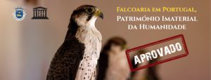 falcoaria_simbolo