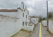 Bairro: festejos decorrem até dia 22 de Outubro