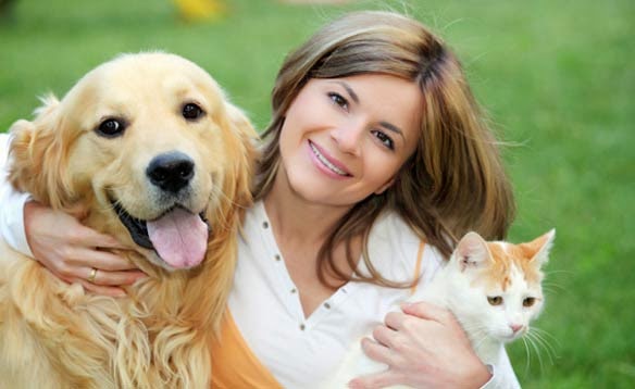 Guarda-do-Animal-de-Estimacao-4