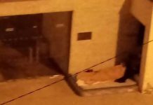 Carregado: dormem como sem abrigos à porta do Centro de Saúde para conseguir consulta