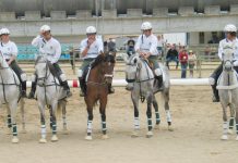 Azambuja: Horseball Team organiza festa com moda e música