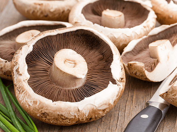 cogumelos