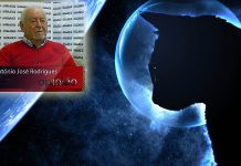 Pandemias, os gatos e outros suspeitos