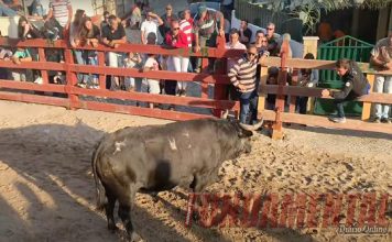 Quim Barreiros sobe ao palco nas festas de Vila Nova da Rainha – de 25 a 28 de junho