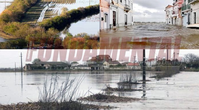 Azambuja: Proteção Civil avisa para elevado risco de cheias – Pavilhão Municipal disponível para banhos quentes