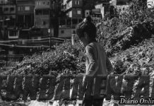 Azambuja: “Radar Social” é farol de referência para pessoas em situação de vulnerabilidade