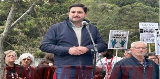 João Nicolau: “Ministra garante que encerramento da urgência de obstetrícia pode ser provisória”