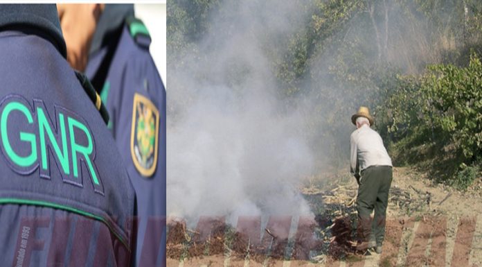 Carregado: militares da GNR prenderam homem de Casais da Marmeleira por ignição de incêndio rural