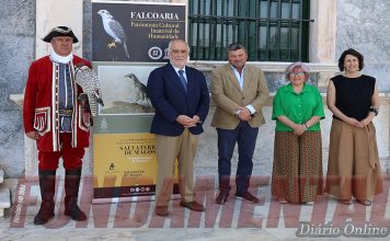 Salvaterra de Magos: Município lança projeto “Falcoaria na Rota dos Museus”